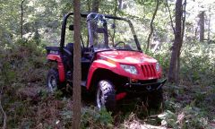 Out to the woods