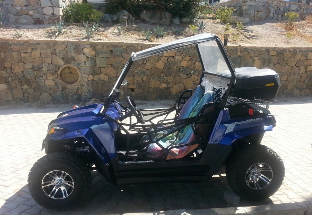 Buggy_2.jpg