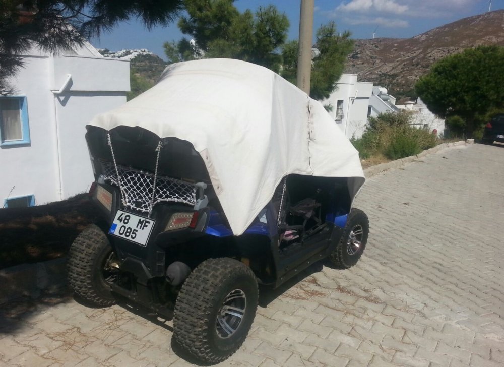 Buggy_6.jpg