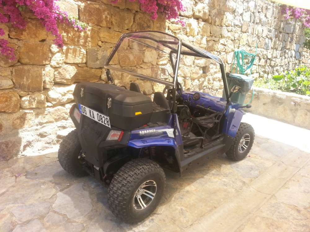 buggy5.jpg