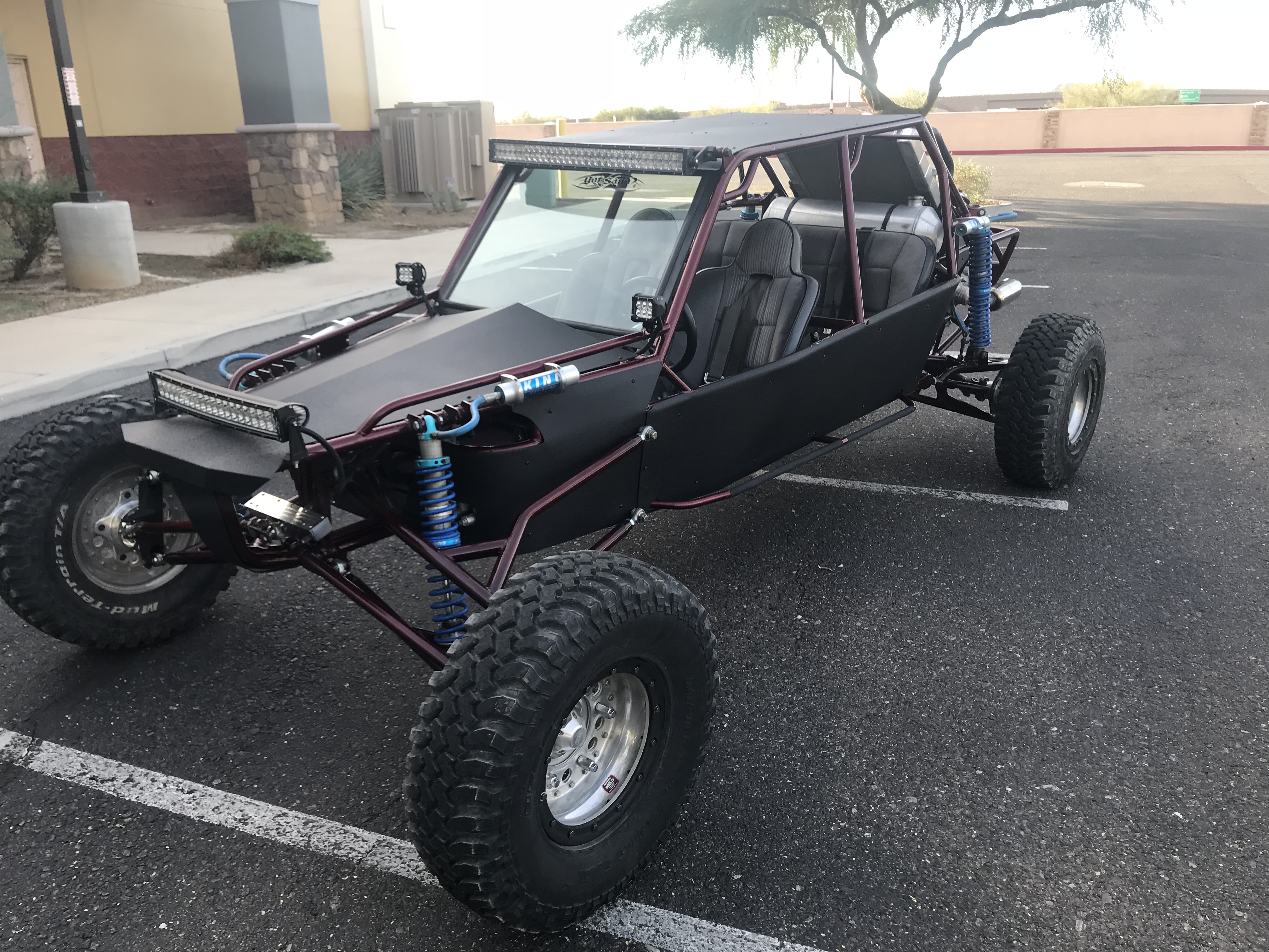 ecotec dune buggy