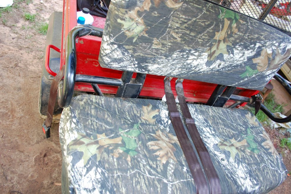 DSC_8950.JPG