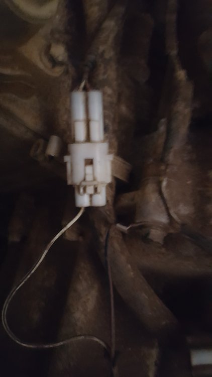 20191102_142748.thumb.jpg.2c7d89a8039cb5d3e976fcdee1b41f5f.jpg