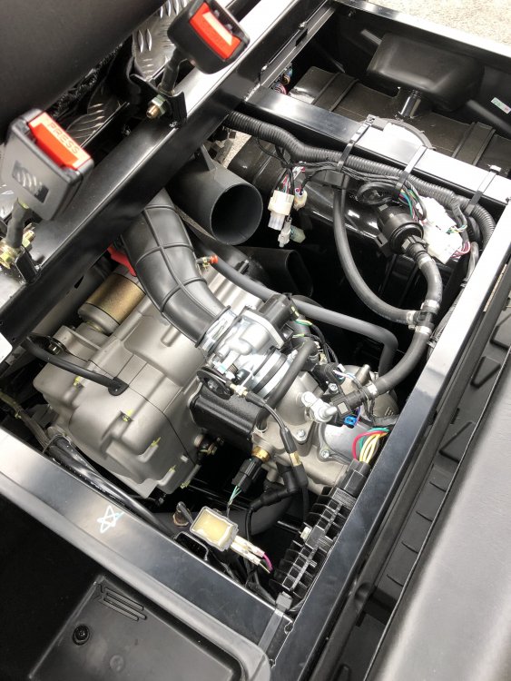 IMG_2769.jpg