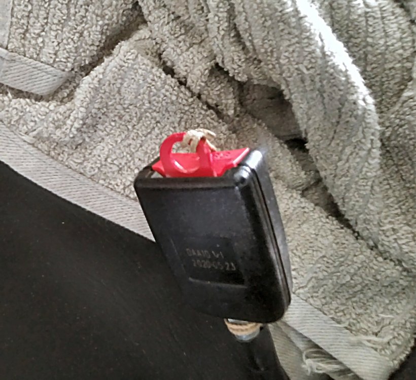 SeatBeltThing-01.thumb.jpg.aea8b24cd2114b7d589ecbd5abdb7835.jpg