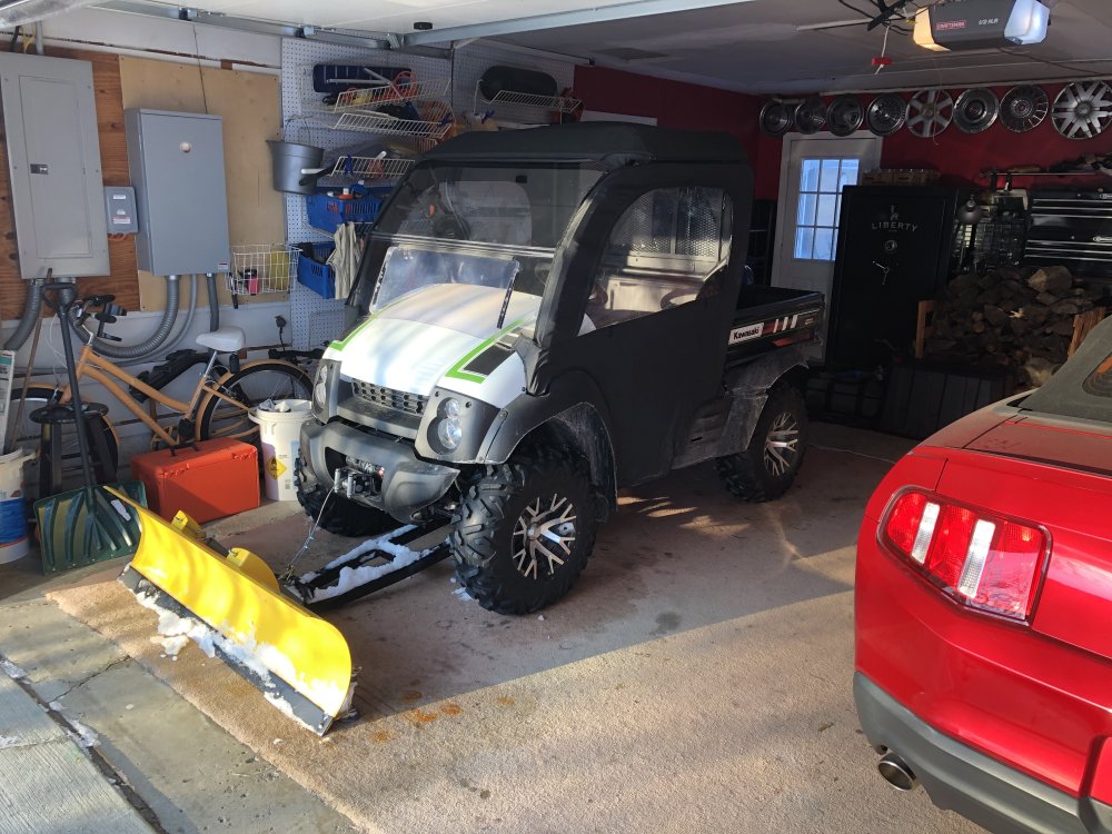 mule ready for snow.jpg