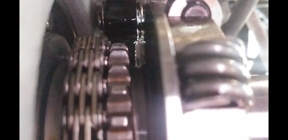 Screenshot_20221023-154555_Gallery.jpg