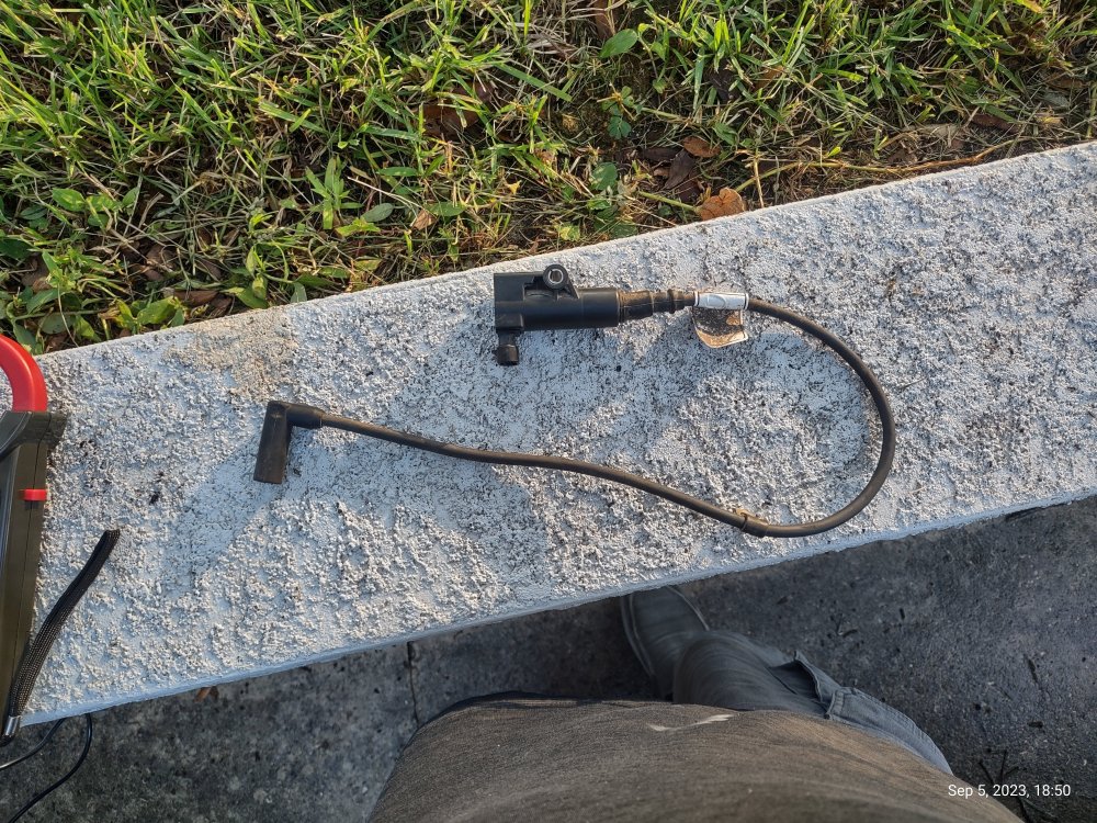 IMG_20230905_185046726_HDR.jpg