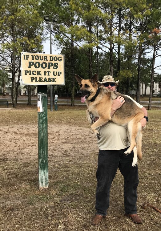 Ifyourdogpoopspickitup.thumb.JPG.013ef772909de27ee0f211f93443c676.JPG
