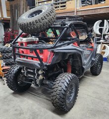 Honda Talon Back.jpg
