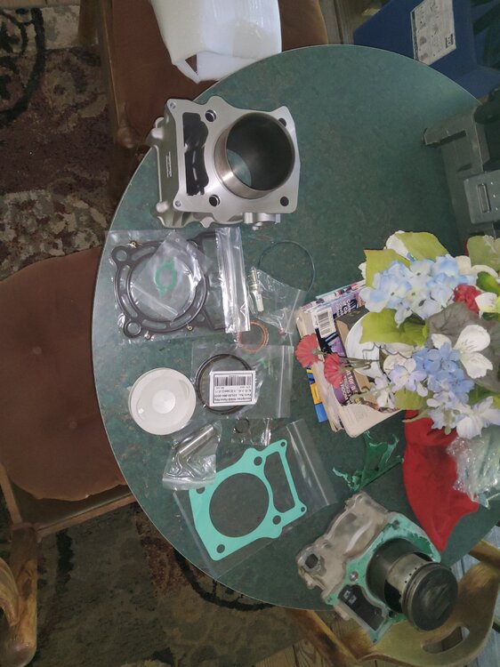 20250723_162915.thumb.jpg.d551d158326702b7d69fab0f10c5d091.jpg